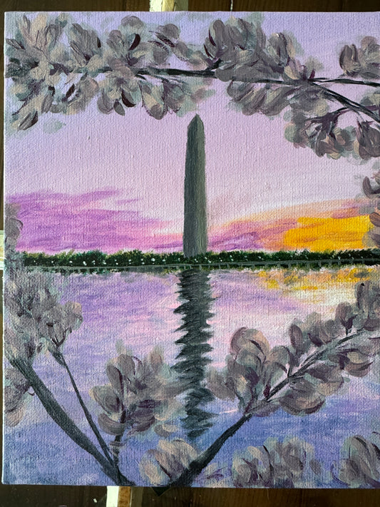 Washington Monument with Cherry Blossoms Evening