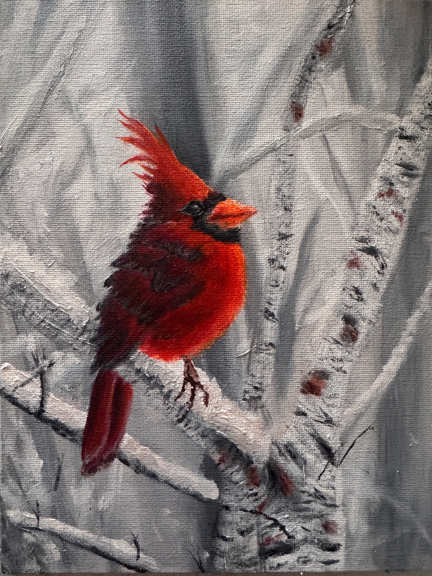 Cardinal in the Snow