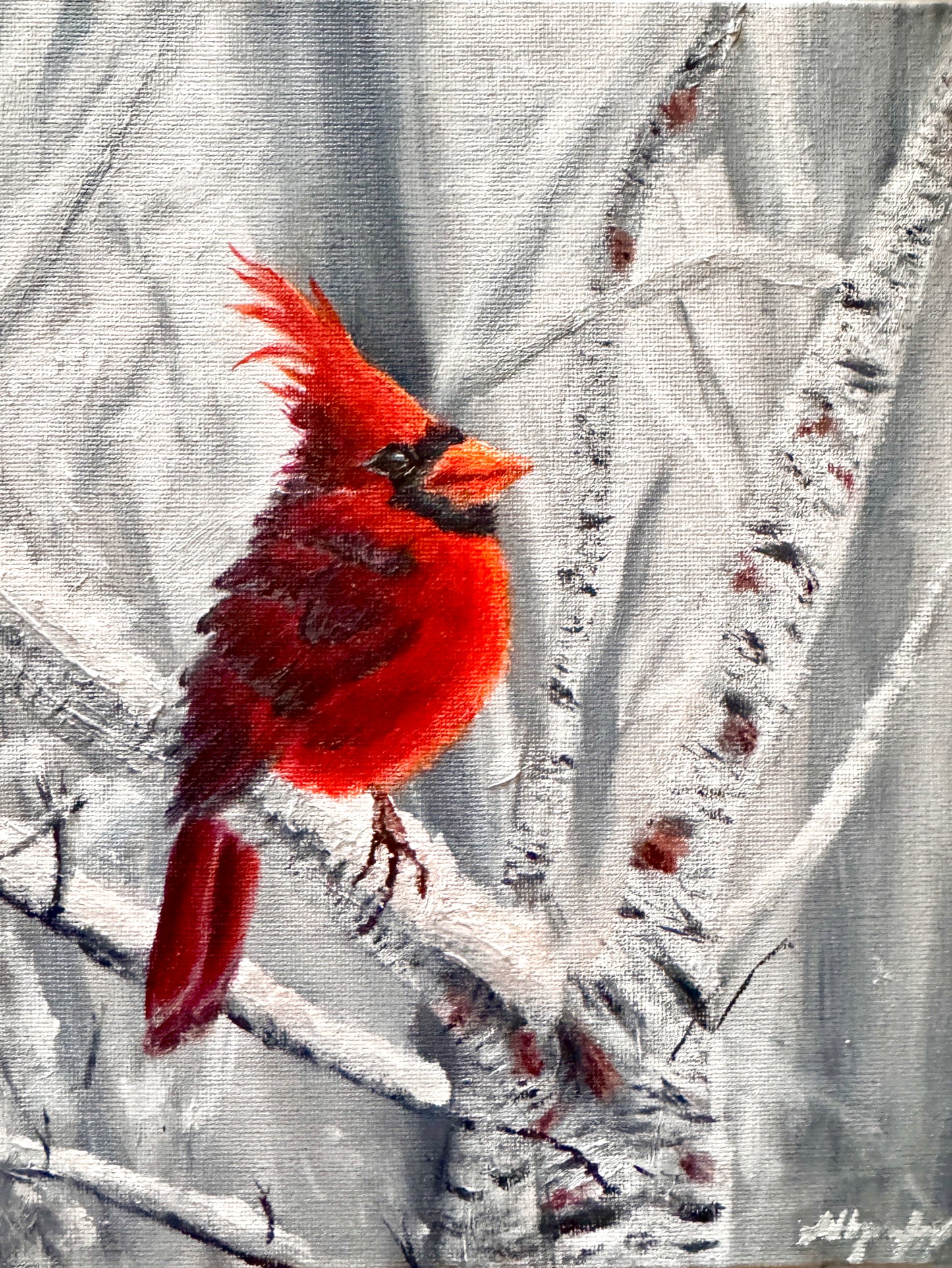 Cardinal in the Snow