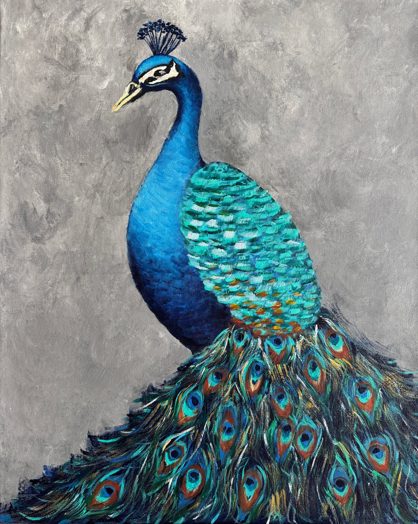 Peacock
