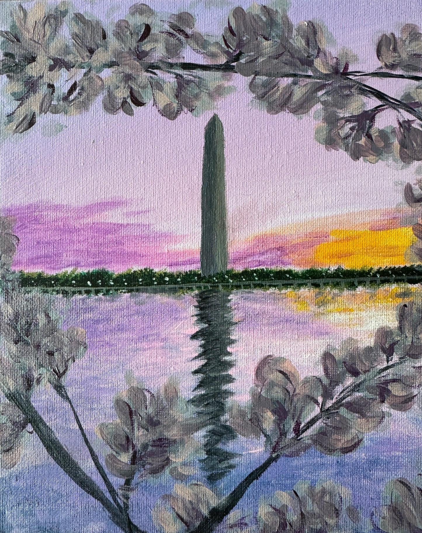 Washington Monument with Cherry Blossoms Evening