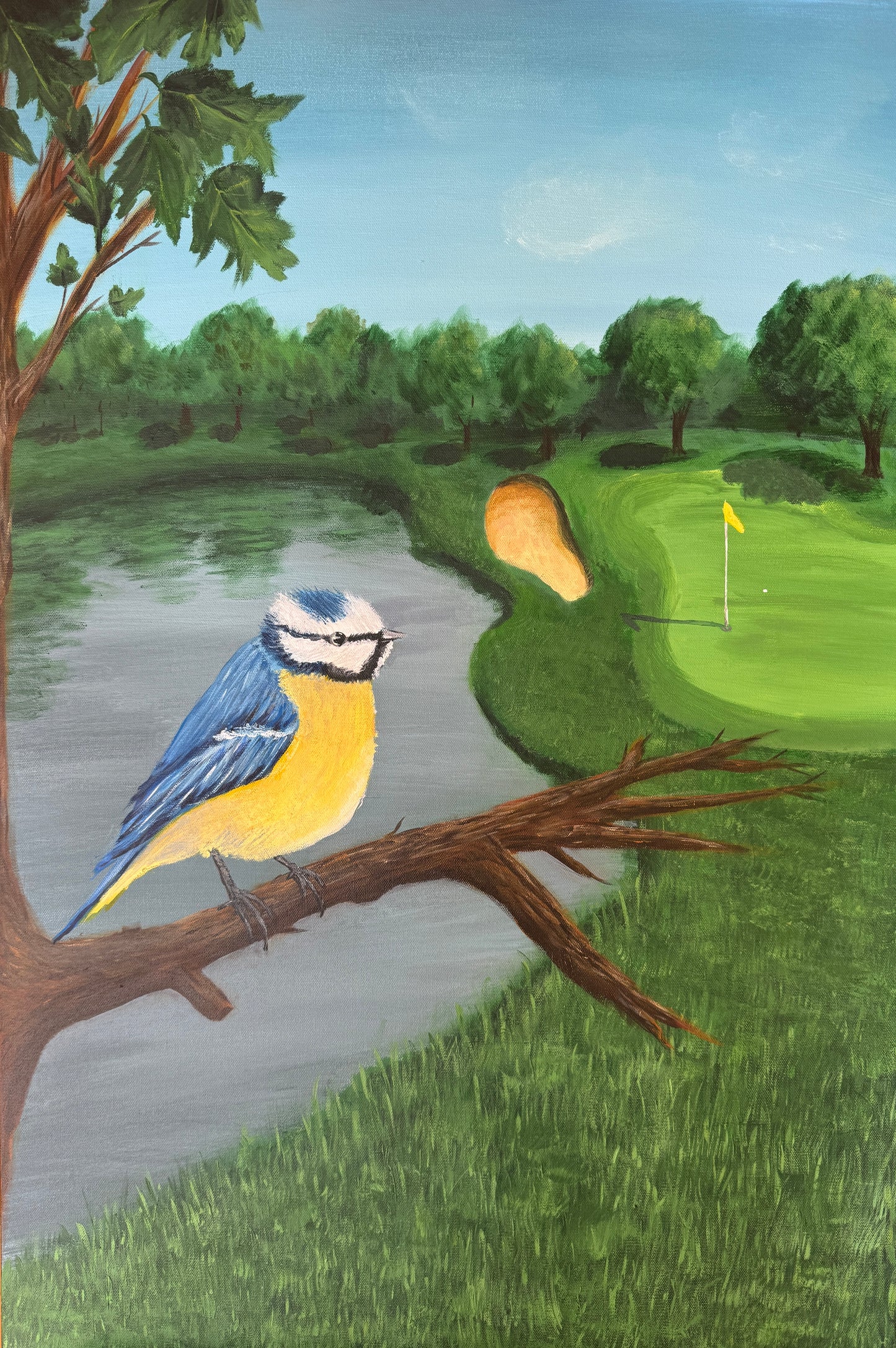 Eurasian Bluetit over Golf Course