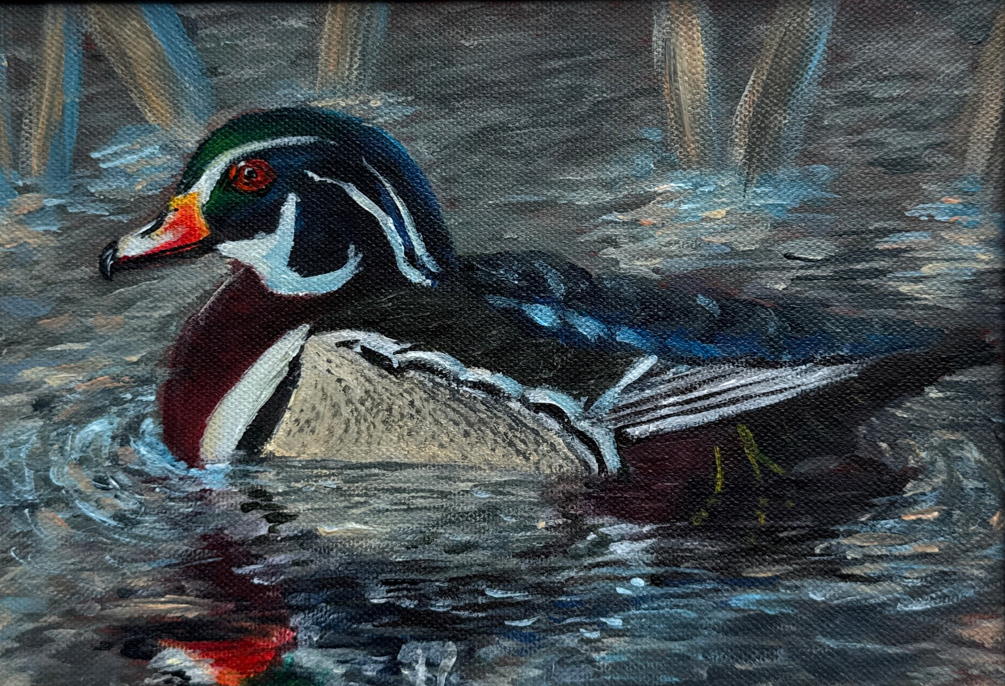 Wood Duck